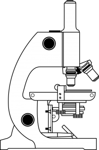 Mikroskop (Quelle: Pixabay)